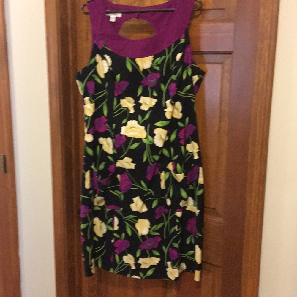 Dress NWOT